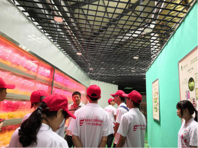 心系三農，讓農業插上科技的翅膀——網絡工程賦能現代農業發展